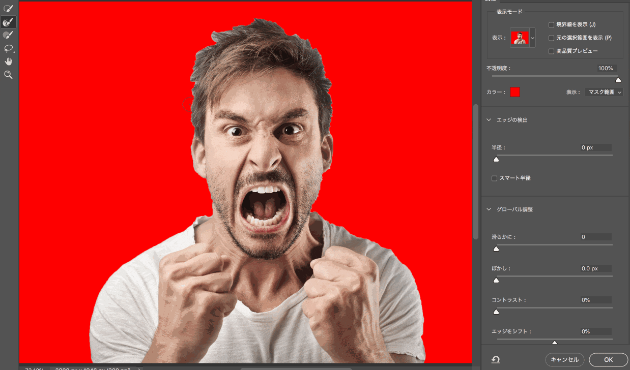 Photoshopで写真の特定の色を変換・調整する簡単テクニック4