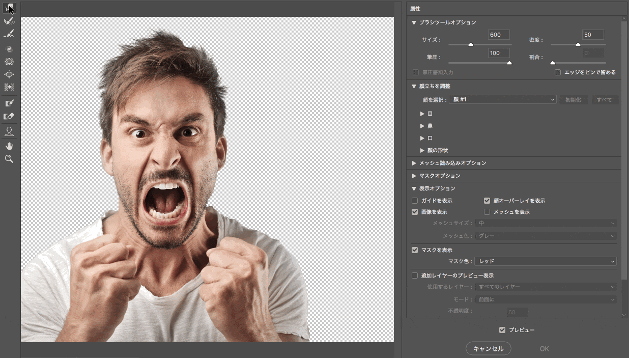 Photoshopで写真の特定の色を変換・調整する簡単テクニック8