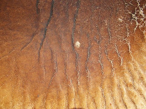 free_high_res_texture_771 free_high_res_texture_771