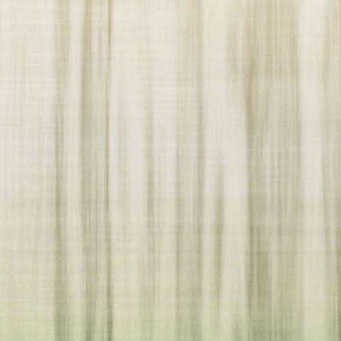 fabric10