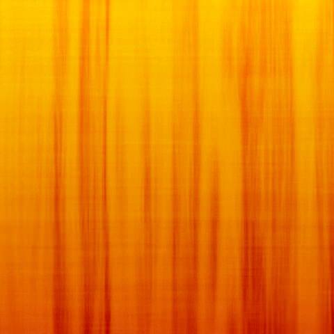 fabric5