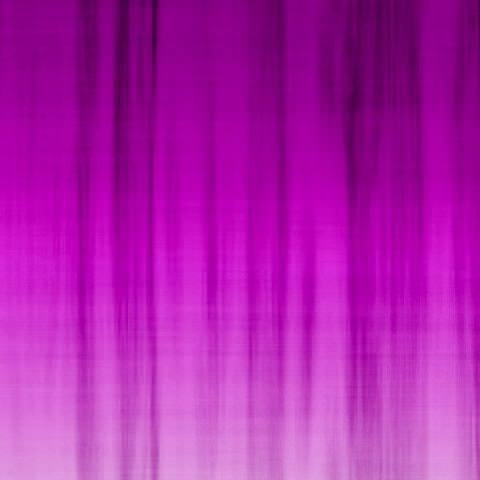 fabric6
