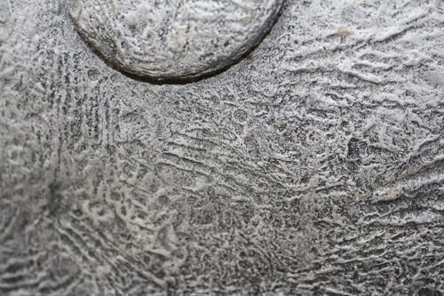 pic4(10)
