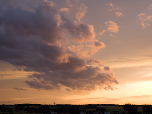 A0006738_LARGE