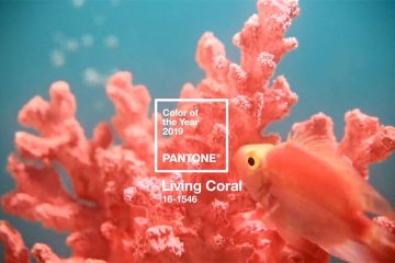 featured_pantone2019