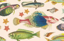 textile_designer-photoshop-plugin