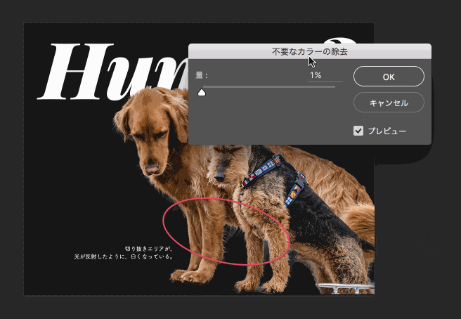 境界線を調整14