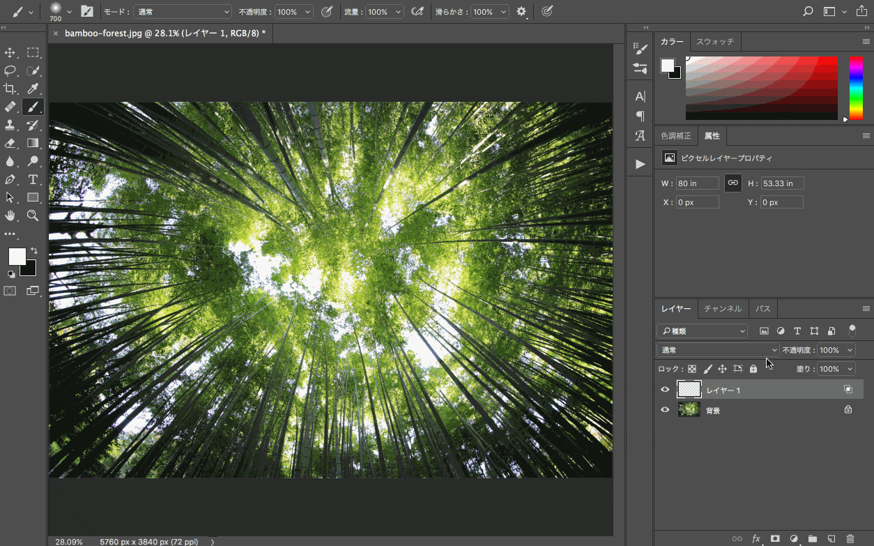 写真に自然な光を追加する