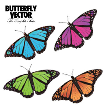 butterflyvector