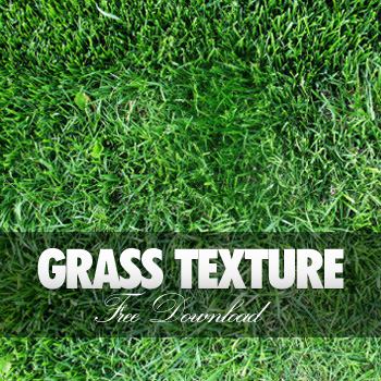 grasstexture