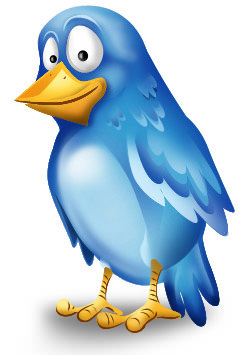 beautiful-twitter-bird-icon