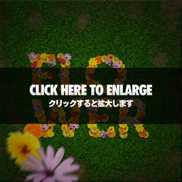 flowertextpreview