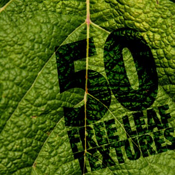 50leaftexture