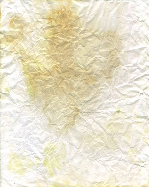 moldy-notebook-paper-014