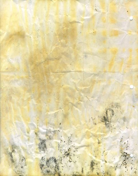 moldy-notebook-paper-018