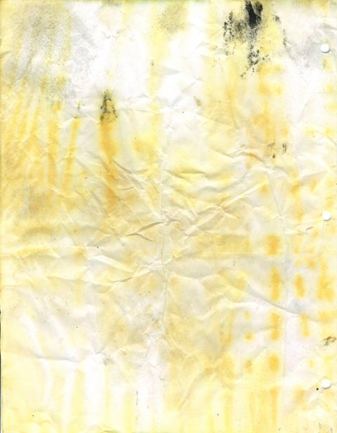 moldy-notebook-paper-020