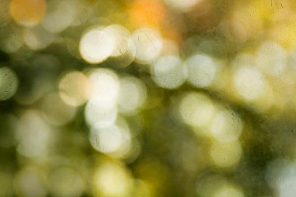 bokeh-texture-for-your-use