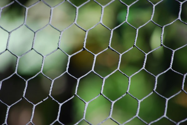 caged-bokeh