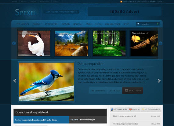 spexel-free-premium-wordpress-theme