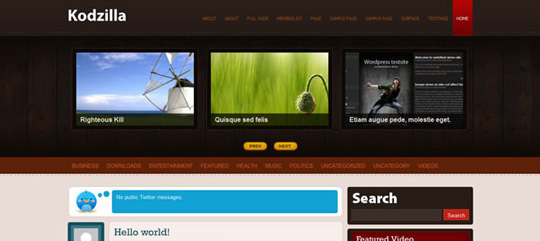 wp_theme_23