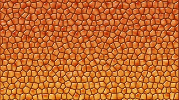 05-reptile-photoshop-textures