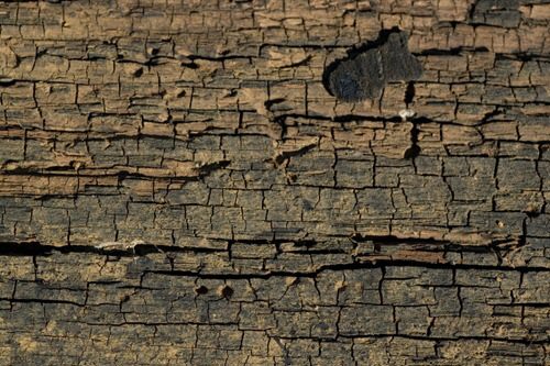 Cracked_Wood_1_by_objekt_stock