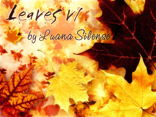 leaf-photoshop-brushes-10