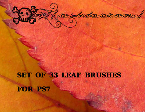 leaf-photoshop-brushes-14