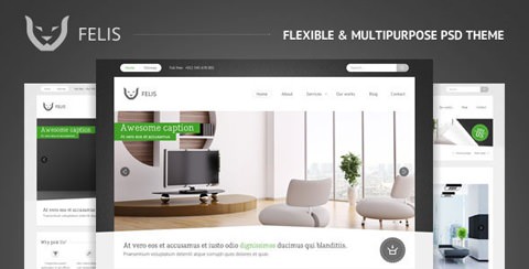 Website-PSD-Templates-10