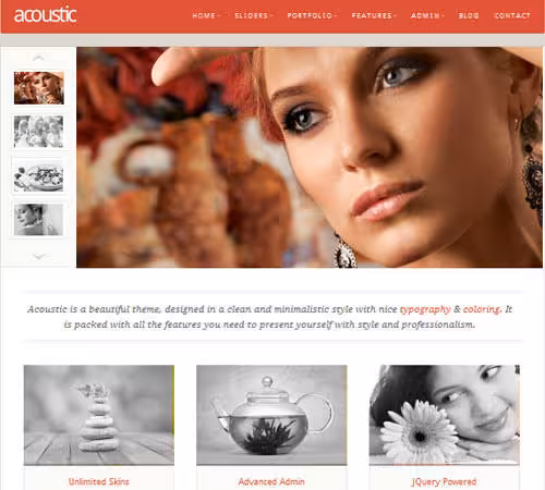 15-acoustic-powerful-elegant-wordpress-theme