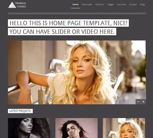 24-triangle-studio-wordpress-portfolio-theme