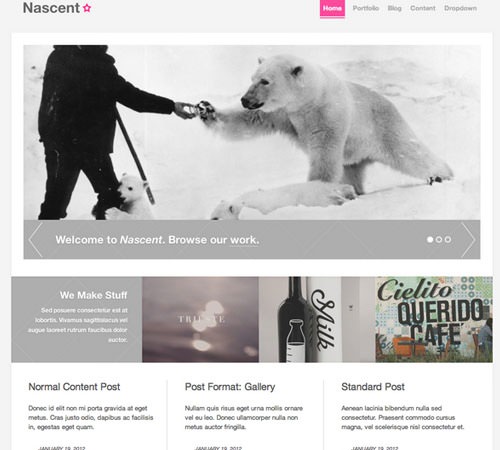 25-nascent-agency-wordpress-theme