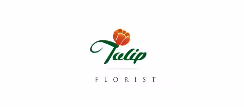 8-Tulip 8-Tulip