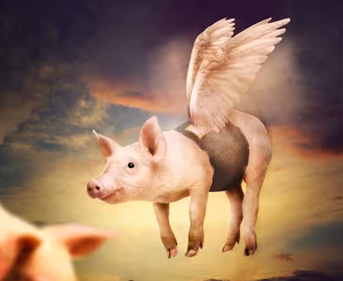 Photo-Manipulate-a-Cute-Flying-Pig-Scene