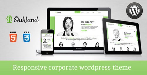 responsive-wp-theme-16