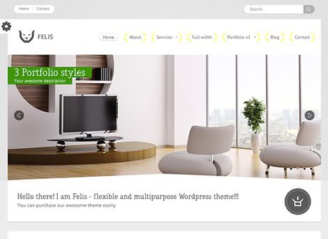 Simple-Wordpress-Themes-27_mini