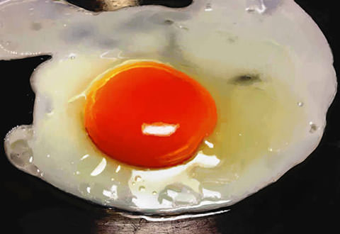 0810_Egg_24