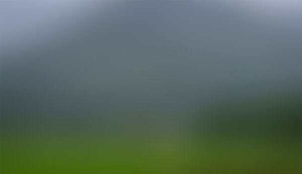 Blurred-Background_6