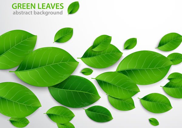 greenleaves