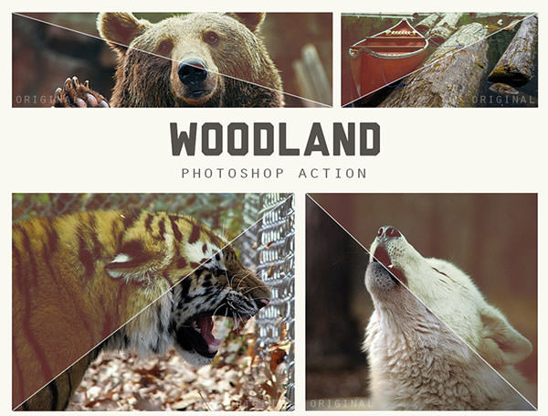 woodland_photoshop_action_by_beorange-d6en33g