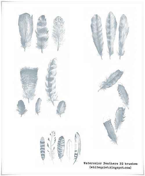 feathers-ps-brushes