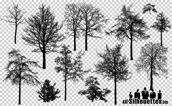 vector_naked_trees