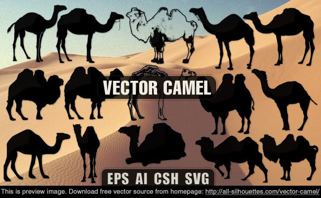 vector_camel