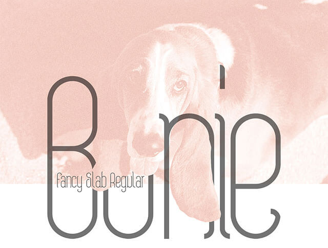 bonie-fancy-slab-regular