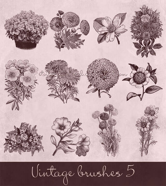 vintage-flowers-brushes