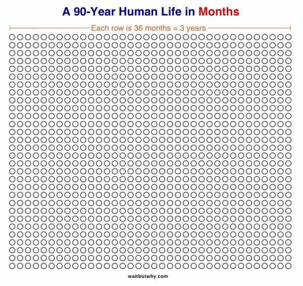 Human-Life-in-Months