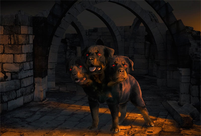 cerberus-photo-manipulation-5-10-min