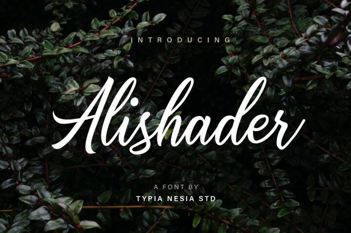 alishader-script-font