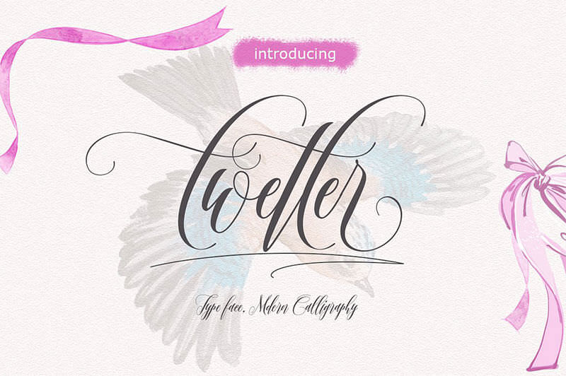 twetter-script-font