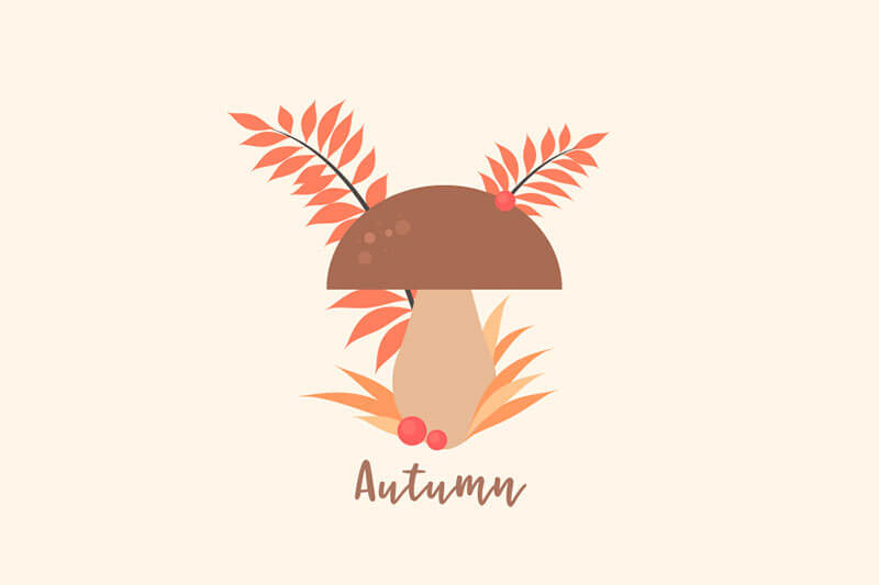 13-autumn-mushroom